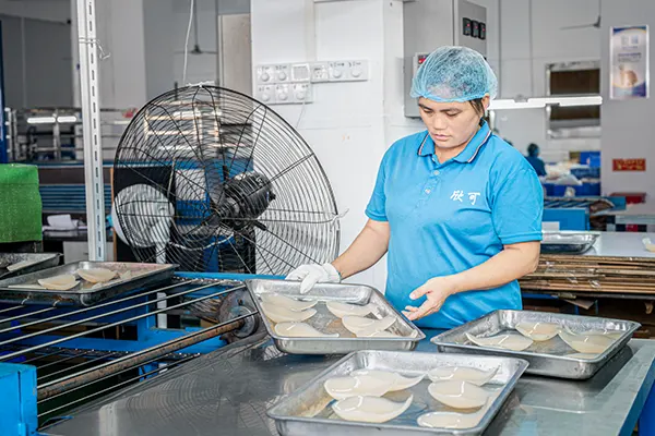 Baking-Fixing-Adhesive